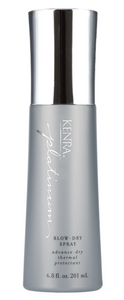 Kenra Platinum Blow-Dry Spray